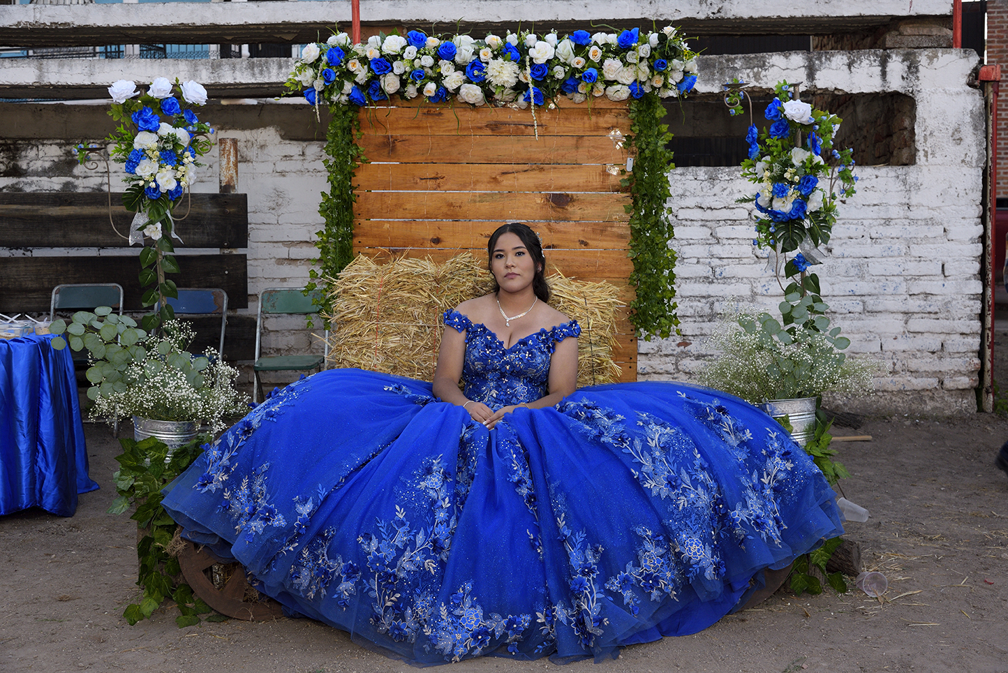 XV Valeria 17